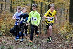 Kreis-Crosslauf-Meisterschaften der Kreise Olpe und Siegen-Wittgenstein