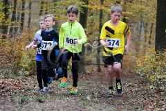 Kreis-Crosslauf-Meisterschaften der Kreise Olpe und Siegen-Wittgenstein