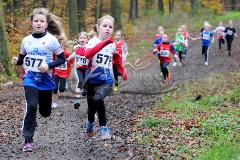 Kreis-Crosslauf-Meisterschaften der Kreise Olpe und Siegen-Wittgenstein