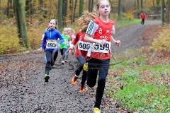 Kreis-Crosslauf-Meisterschaften der Kreise Olpe und Siegen-Wittgenstein