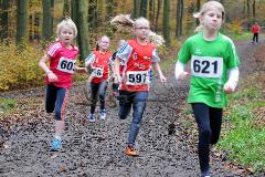 Kreis-Crosslauf-Meisterschaften der Kreise Olpe und Siegen-Wittgenstein Kreis-Crosslauf-Meisterschaften der Kreise Olpe und Siegen-Wittgenstein