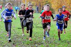Kreis-Crosslauf-Meisterschaften der Kreise Olpe und Siegen-Wittgenstein
