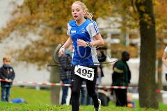 Kreis-Crosslauf-Meisterschaften der Kreise Olpe und Siegen-Wittgenstein