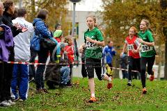 Kreis-Crosslauf-Meisterschaften der Kreise Olpe und Siegen-Wittgenstein