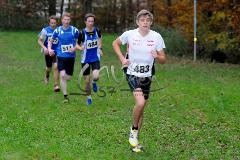 Kreis-Crosslauf-Meisterschaften der Kreise Olpe und Siegen-Wittgenstein