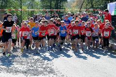 42. Rothaar-Waldlauf des TSV Aue-Wingeshausen – 5. Lauf zur Rothaar-Laufserie um den AOK-Cup 2014