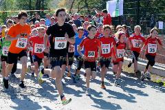 42. Rothaar-Waldlauf des TSV Aue-Wingeshausen – 5. Lauf zur Rothaar-Laufserie um den AOK-Cup 2014