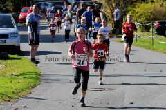 42. Rothaar-Waldlauf des TSV Aue-Wingeshausen – 5. Lauf zur Rothaar-Laufserie um den AOK-Cup 2014