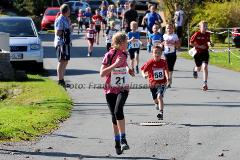 42. Rothaar-Waldlauf des TSV Aue-Wingeshausen – 5. Lauf zur Rothaar-Laufserie um den AOK-Cup 2014