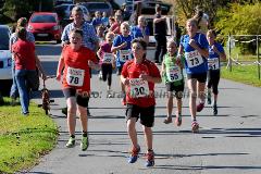 42. Rothaar-Waldlauf des TSV Aue-Wingeshausen – 5. Lauf zur Rothaar-Laufserie um den AOK-Cup 2014
