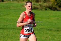 42. Rothaar-Waldlauf des TSV Aue-Wingeshausen – 5. Lauf zur Rothaar-Laufserie um den AOK-Cup 2014