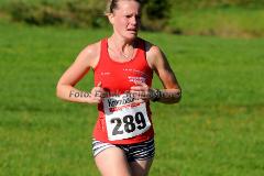 42. Rothaar-Waldlauf des TSV Aue-Wingeshausen – 5. Lauf zur Rothaar-Laufserie um den AOK-Cup 2014