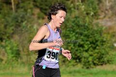 42. Rothaar-Waldlauf des TSV Aue-Wingeshausen – 5. Lauf zur Rothaar-Laufserie um den AOK-Cup 2014