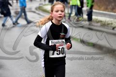 14. Wehbacher Asdorflauf des VfL Wehbach – 3. Lauf Ausdauer-Wintercup 2015/16